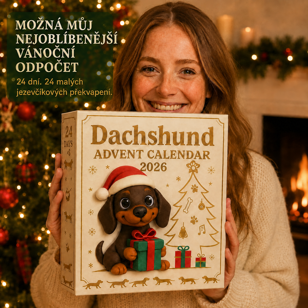 Adventní kalendář – 24 jezevčíků